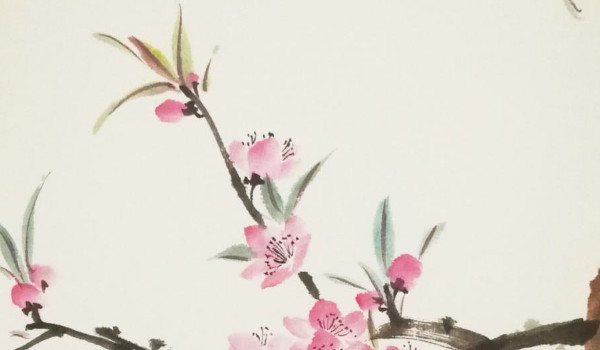 2022-03-11_103354 2022-03-11_103354