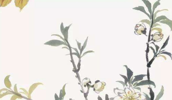 2025年农历正月二十三适合安门吗 今日老黄历宜忌