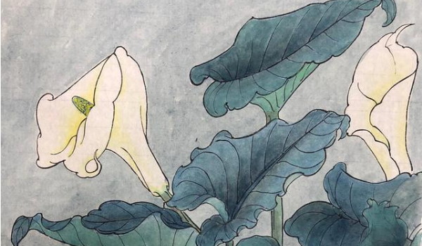 2025年农历二月十九是安门好日子吗 宜装大门吗