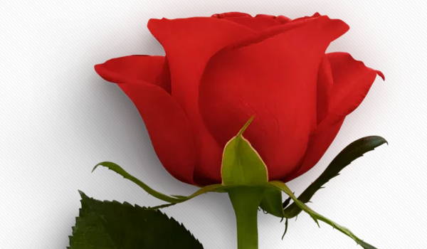 2025年农历四月初六宜搬家入宅吗 是搬家最佳吉日吗