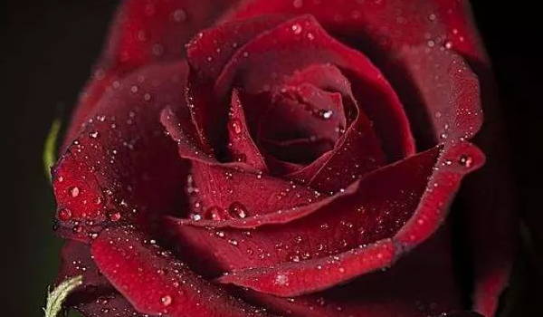 2025年农历四月初十宜搬家入宅吗 是搬家最佳吉日吗