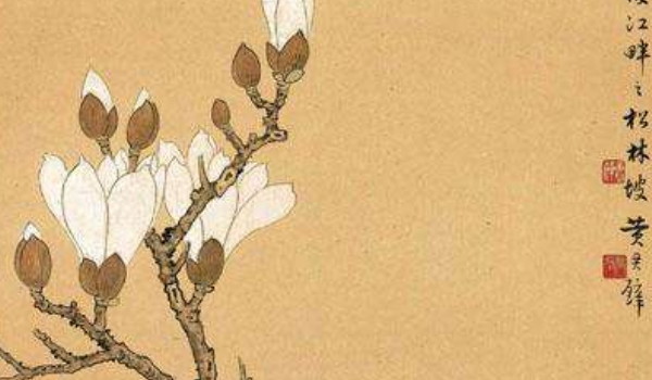 2025年农历二月二十一安门好不好 是最好的安大门日期吗