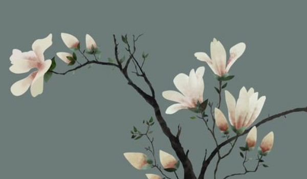 2025年农历三月二十六是安门最佳日子吗 宜安装入户门吗